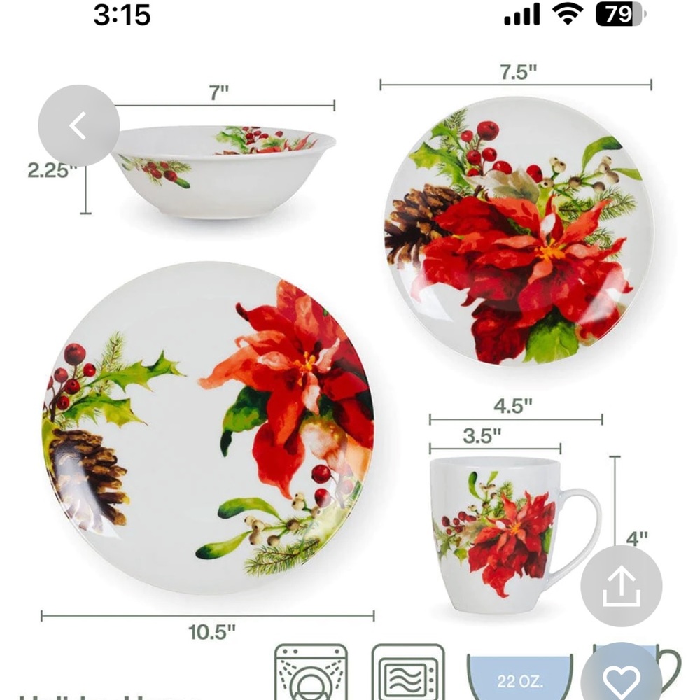 Poinsettia Christmas dinnerware set